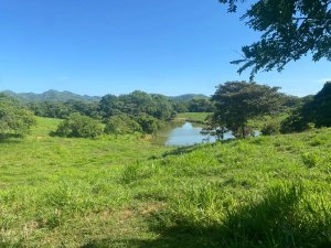 Finca en Venta  1,119 Hectáreas Cerca de Soná, Veraguas, Panamá