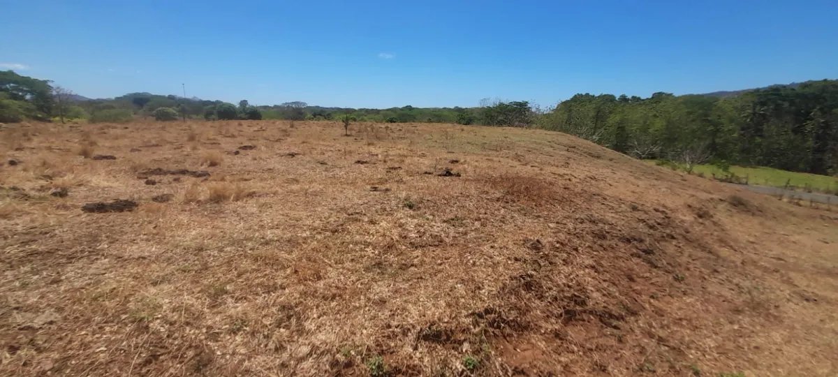Terreno de 2.5 Hectáreas en Venta en Playa Guanico, Veraguas, Panamá