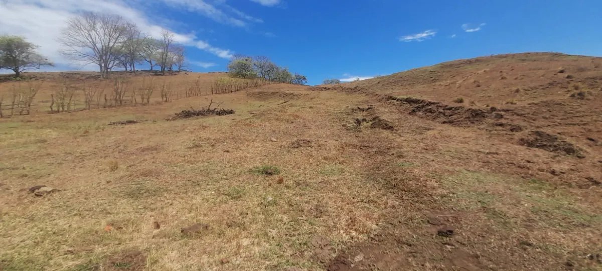 Terreno de 2.5 Hectáreas en Venta en Playa Guanico, Veraguas, Panamá