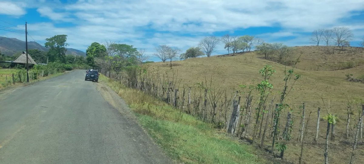 Terreno de 2.5 Hectáreas en Venta en Playa Guanico, Veraguas, Panamá