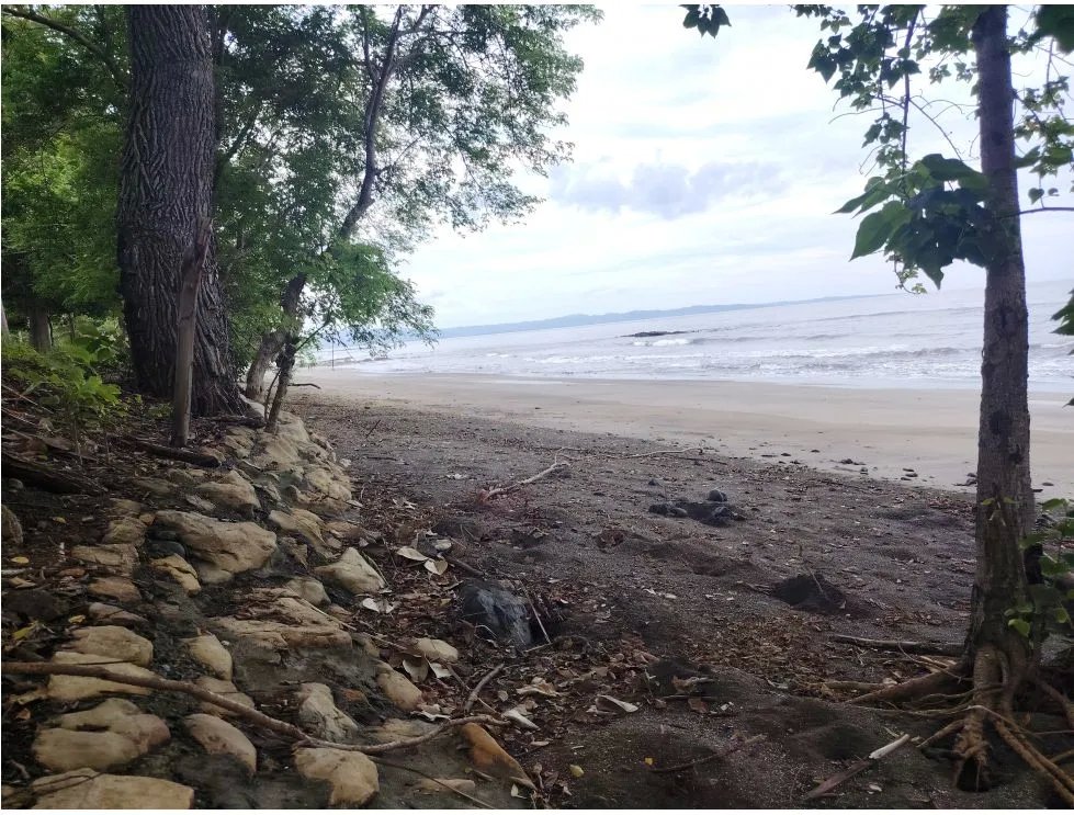 Venta de lote frente al mar en Playa Bucaro, Tonosí  Los Santos
