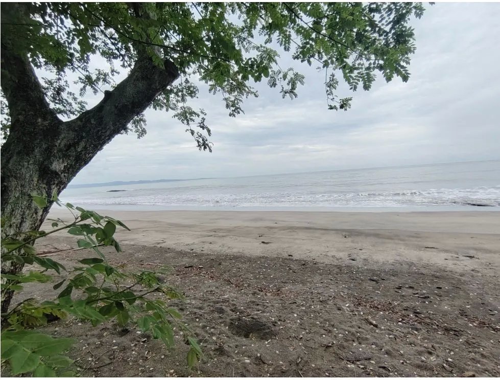 Venta de lote frente al mar en Playa Bucaro, Tonosí  Los Santos