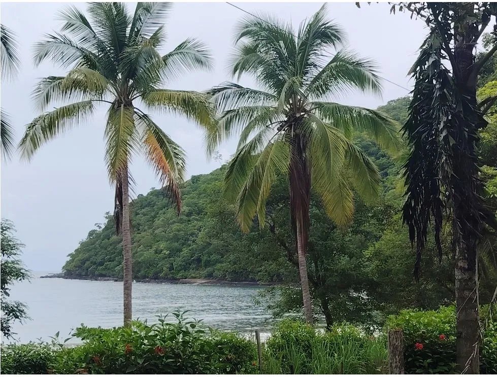 Venta de lote frente al mar en Playa Bucaro, Tonosí  Los Santos