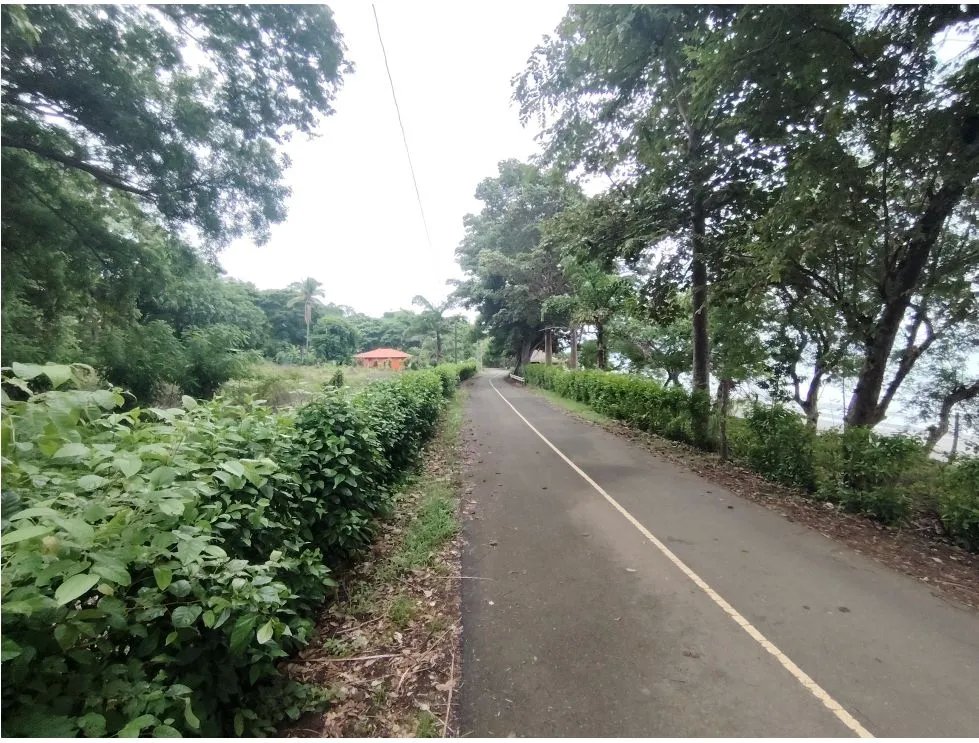 Venta de lote frente al mar en Playa Bucaro, Tonosí  Los Santos