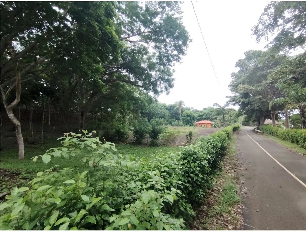 Venta de lote frente al mar en Playa Bucaro, Tonosí  Los Santos