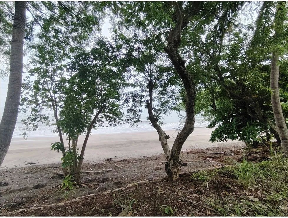 Venta de lote frente al mar en Playa Bucaro, Tonosí  Los Santos