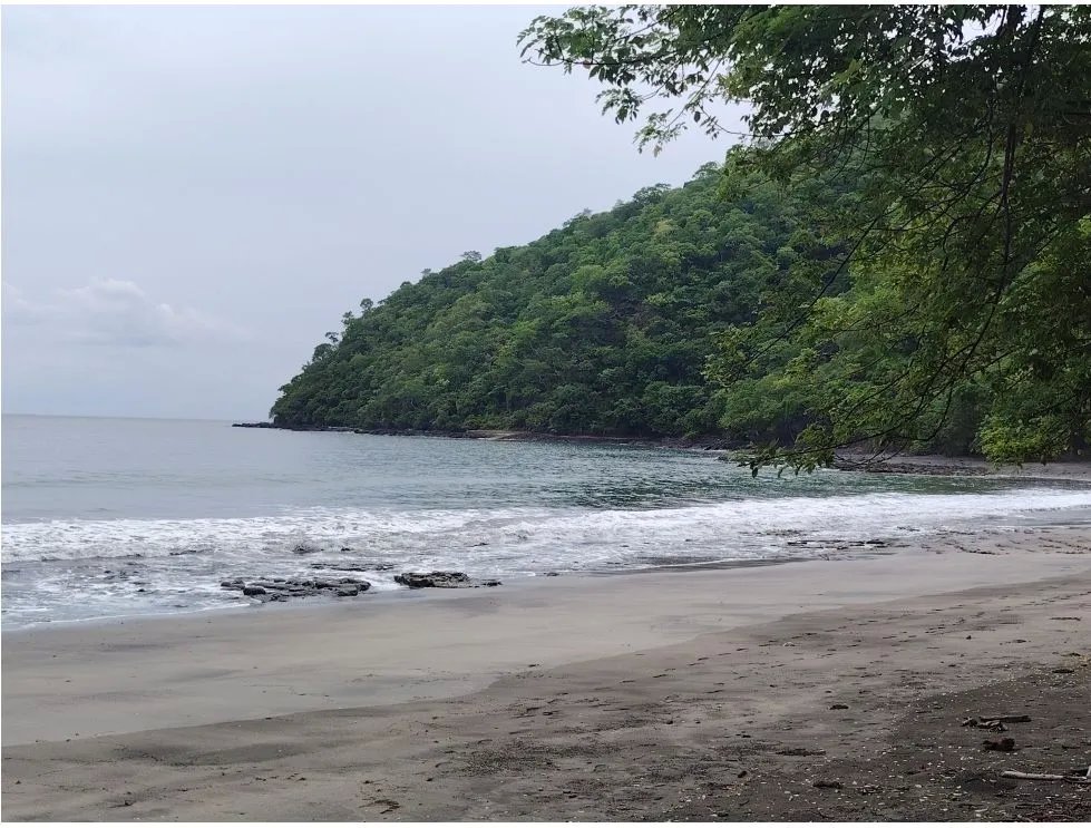Venta de lote con vista al mar en Playa Bucaro, Tonosí  Los Santos