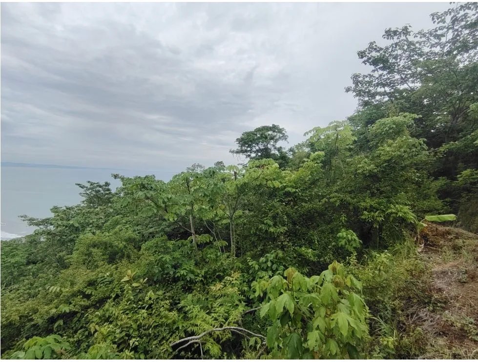 Venta de lote con vista al mar en Playa Bucaro, Tonosí  Los Santos