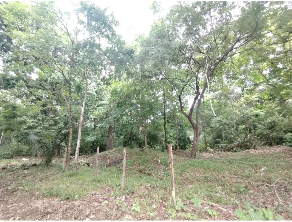 Venta de lote en Playa Guanico, Tonosí  Los Santos