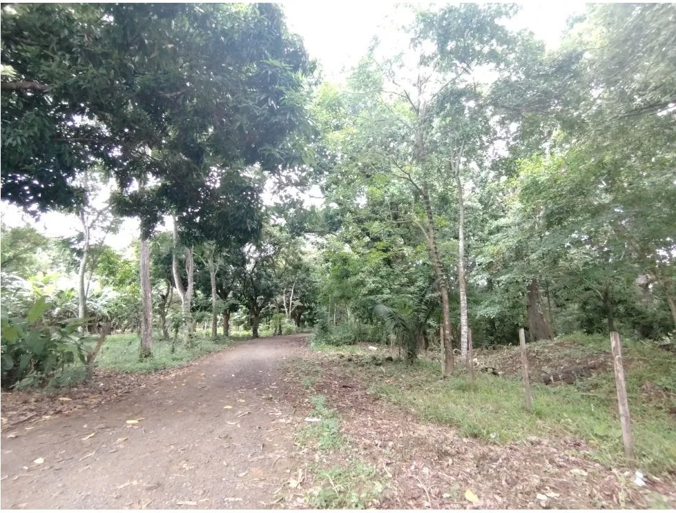 Venta de lote en Playa Guanico, Tonosí  Los Santos