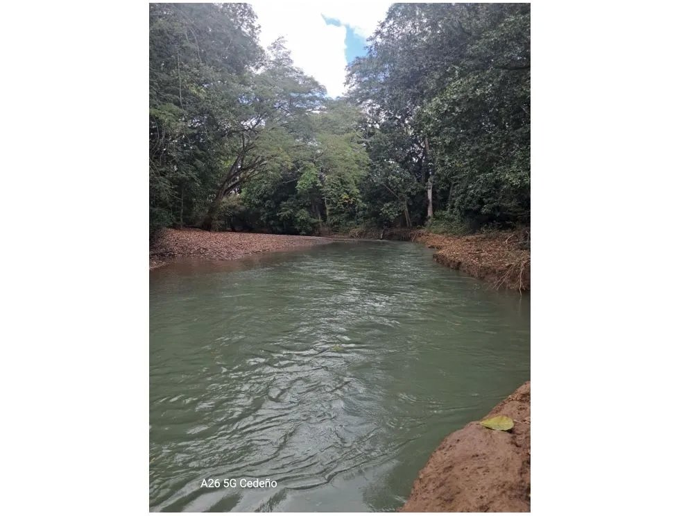 Venta de lote en Playa Guanico, Tonosí  Los Santos