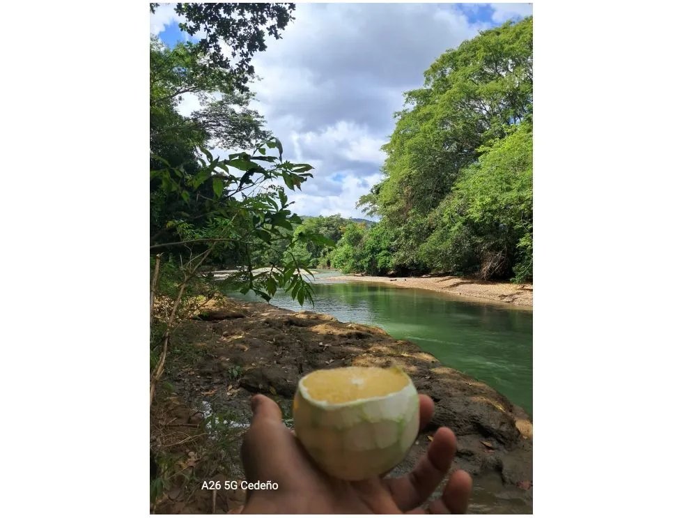 Venta de lote en Playa Guanico, Tonosí  Los Santos
