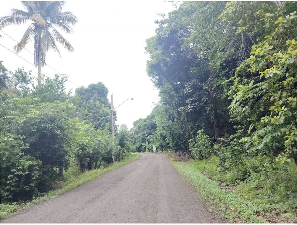 Venta de lote en Playa Guanico, Tonosí  Los Santos