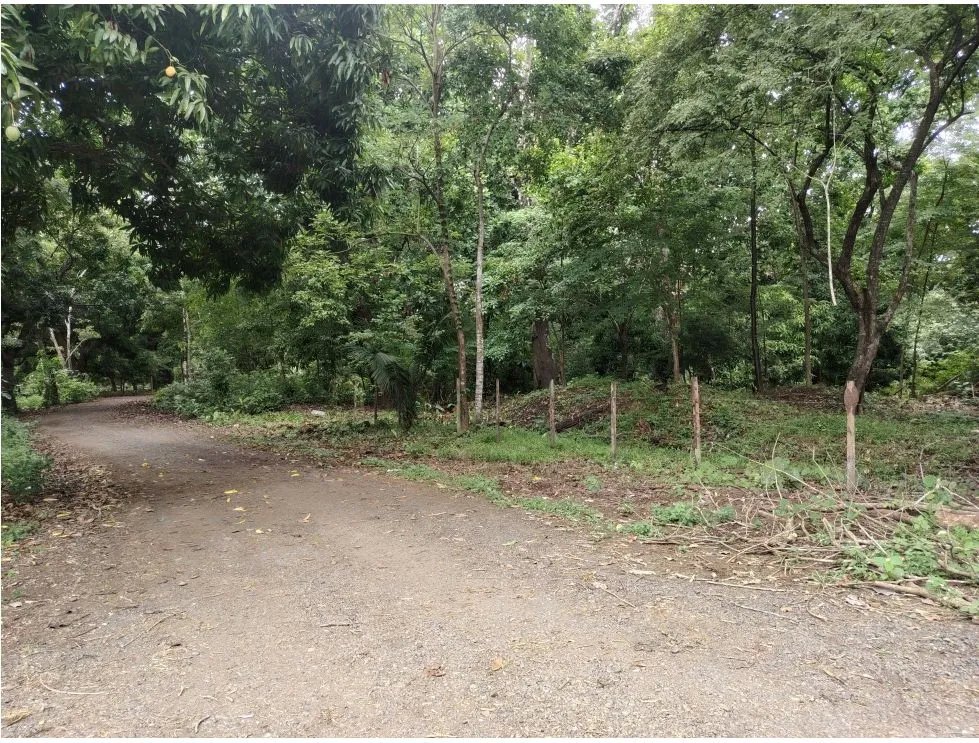Venta de lote en Playa Guanico, Tonosí  Los Santos