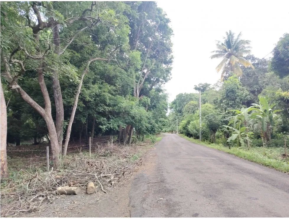 Venta de lote en Playa Guanico, Tonosí  Los Santos