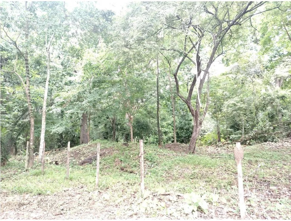 Venta de lote en Playa Guanico, Tonosí  Los Santos