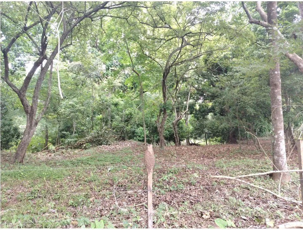 Venta de lote en Playa Guanico, Tonosí  Los Santos