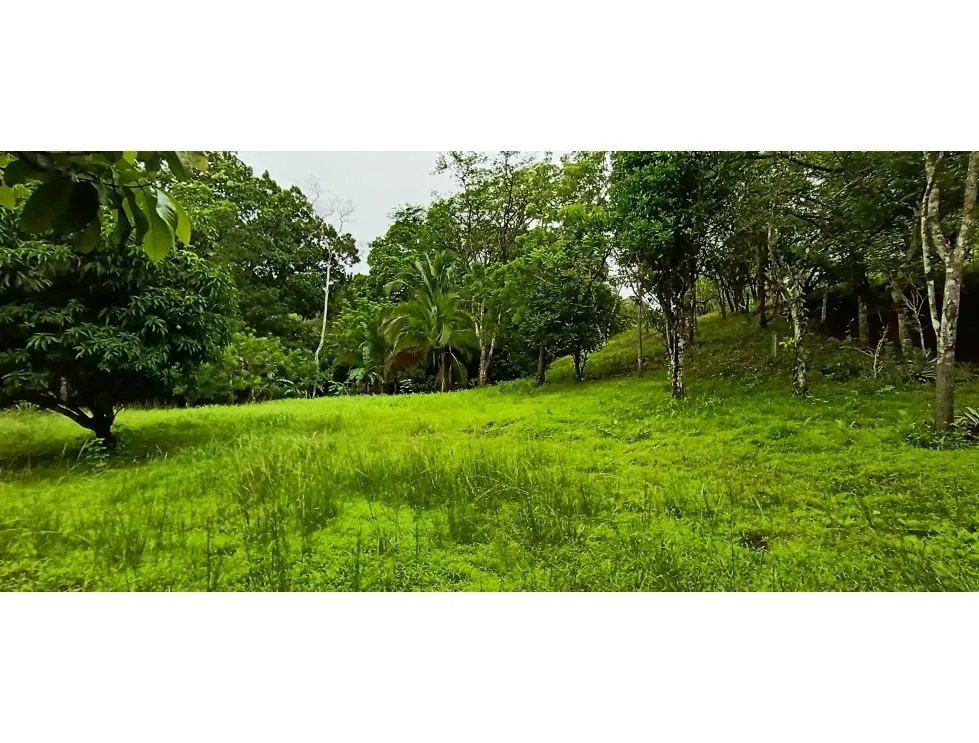 Venta de lote titulado en Bucaro, Tonosí  Los Santos