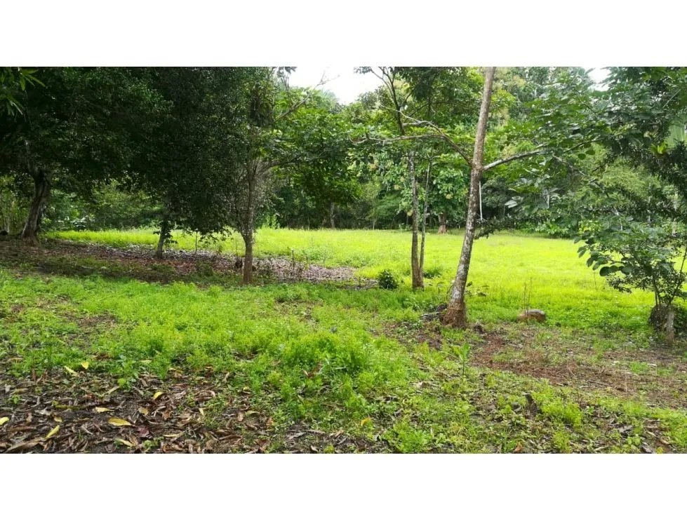 Venta de lote titulado en Bucaro, Tonosí  Los Santos