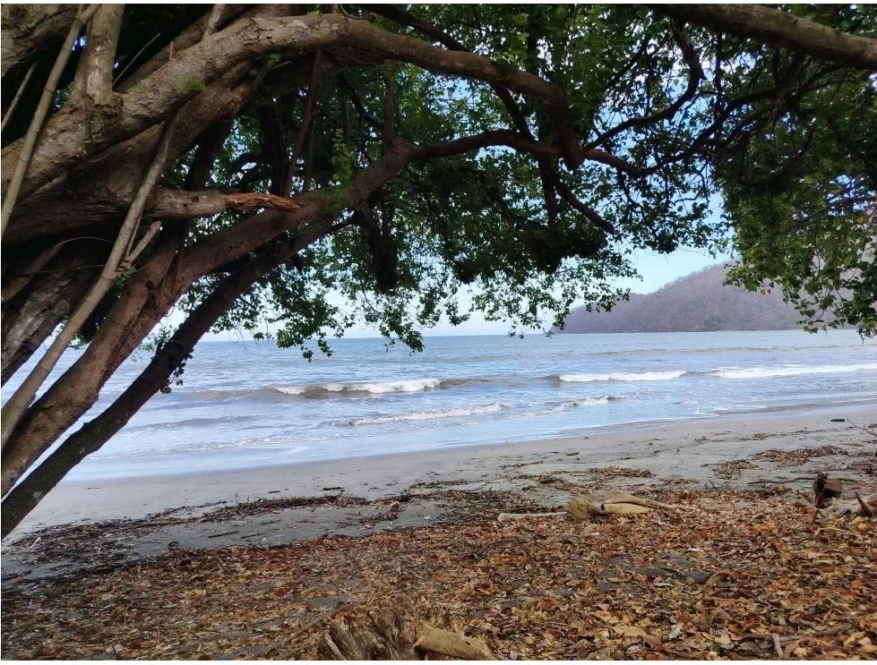 Titled Lot for Sale in Bucaro, Tonosí  Los Santos