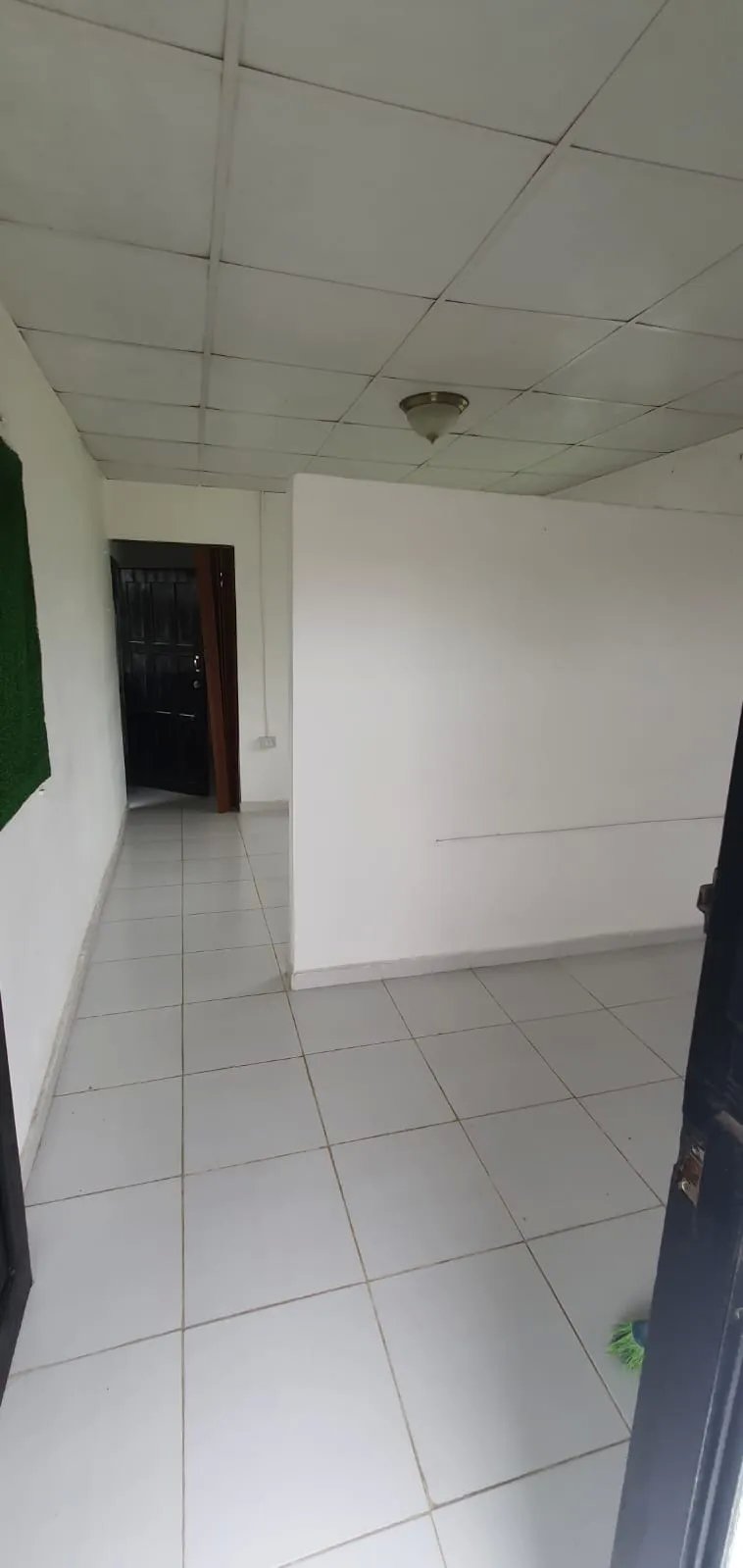 Local comercial en alquiler en Francisco Clark David