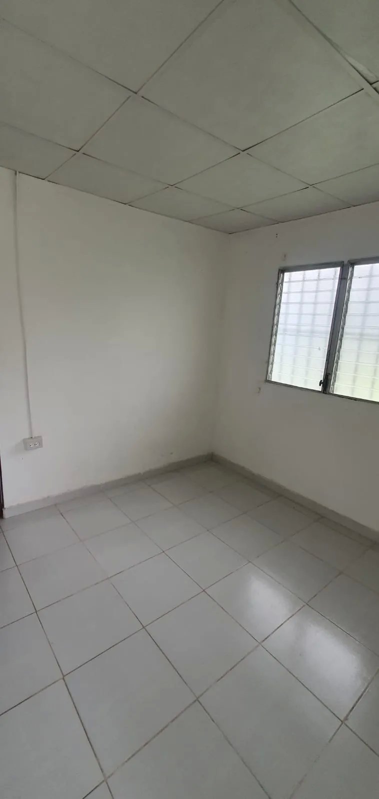 Local comercial en alquiler en Francisco Clark David