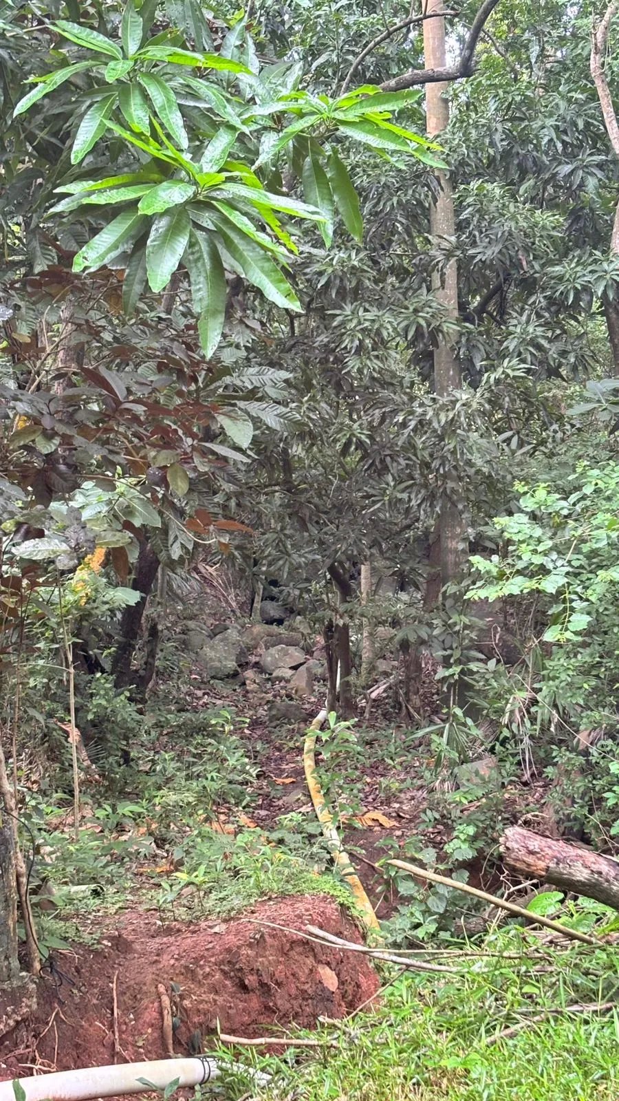 Terreno en Venta en Majagual Veracruz