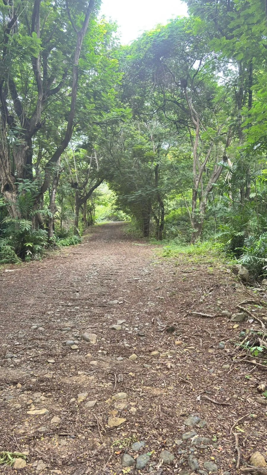 Terreno en Venta en Majagual Veracruz