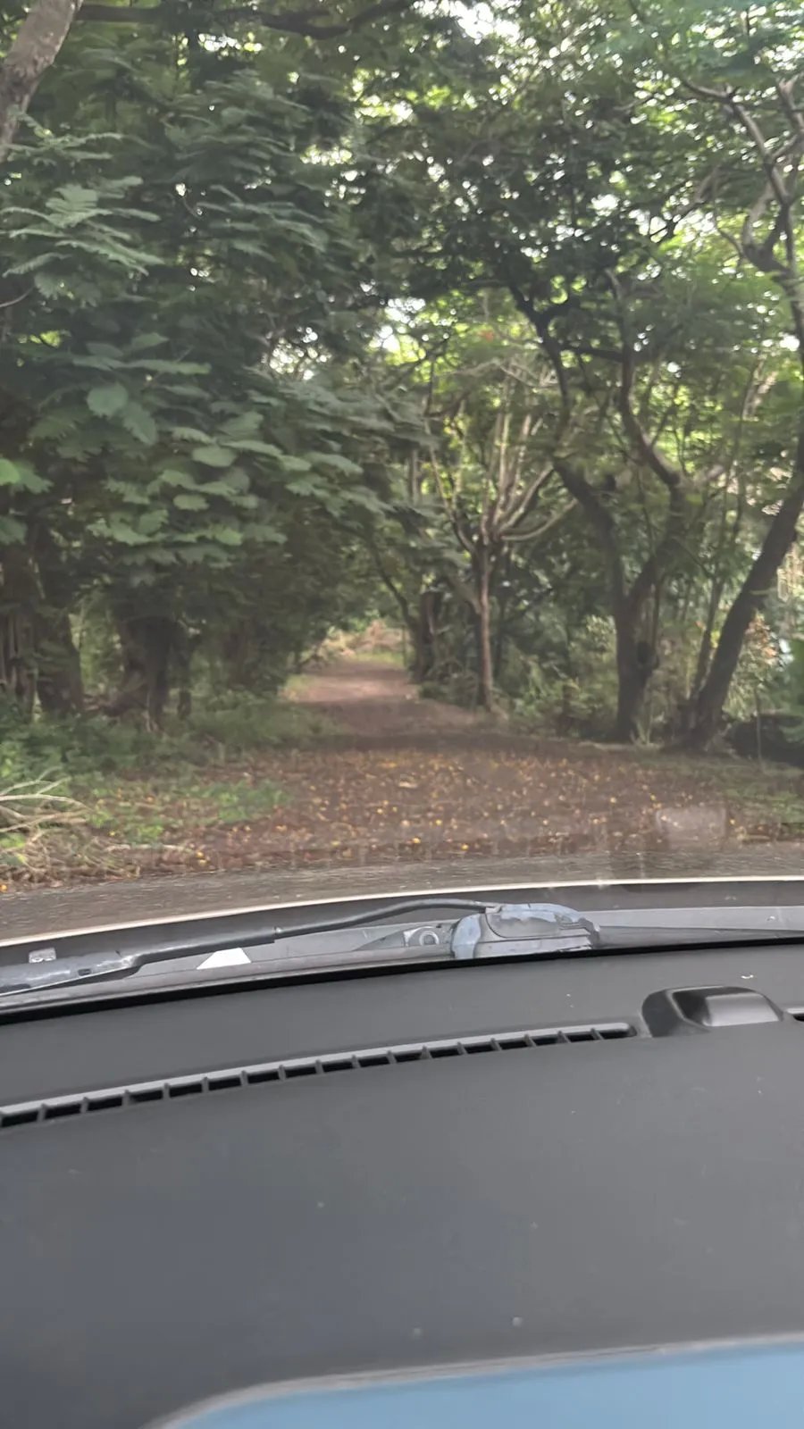 Terreno en Venta en Majagual Veracruz