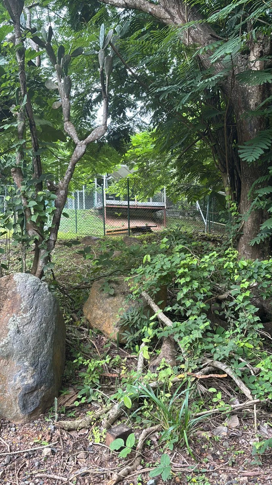 Terreno en Venta en Majagual Veracruz