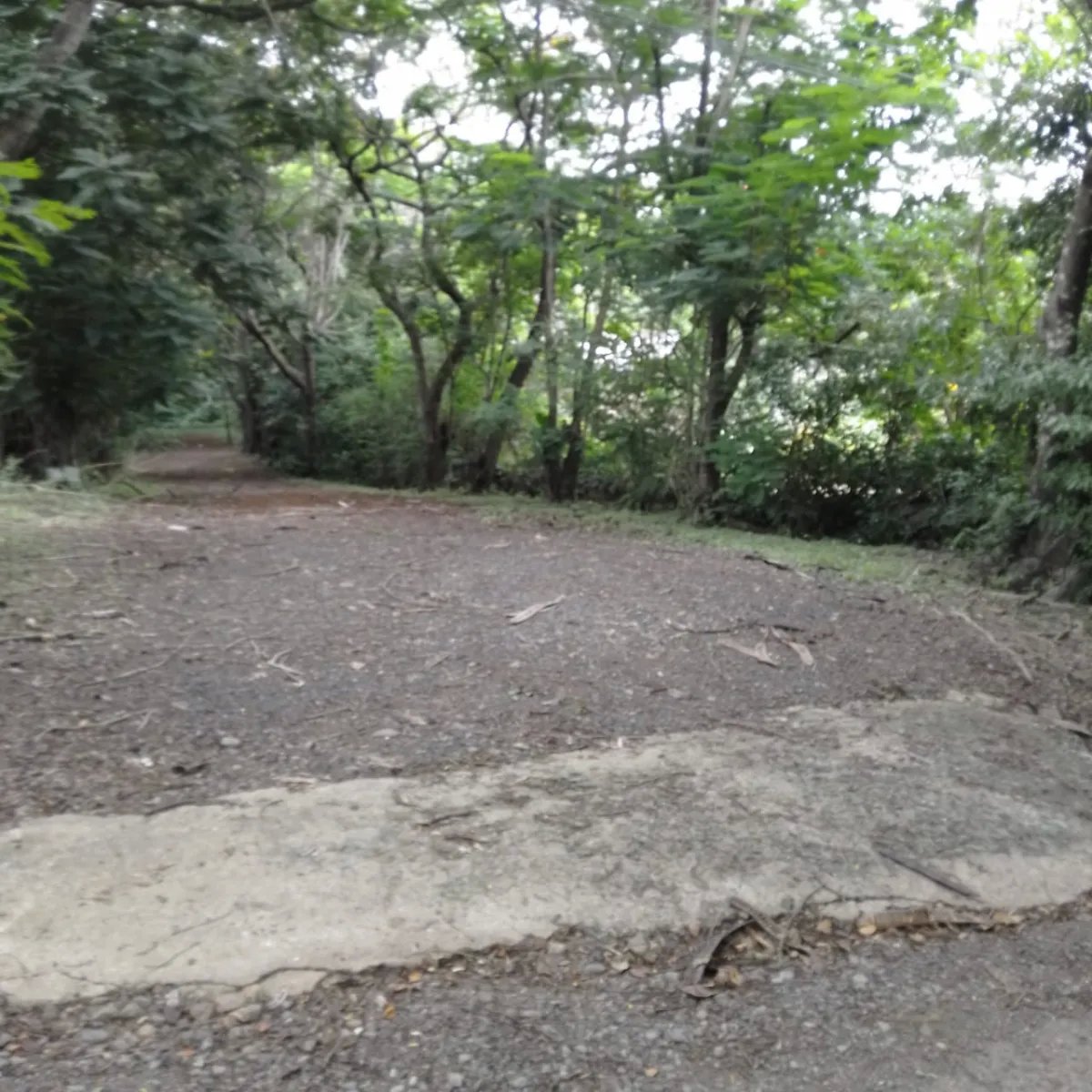 Terreno en Venta en Majagual Veracruz