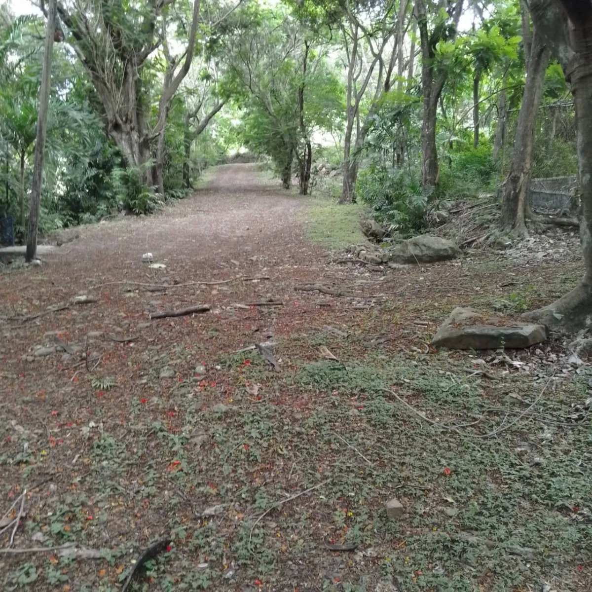Terreno en Venta en Majagual Veracruz