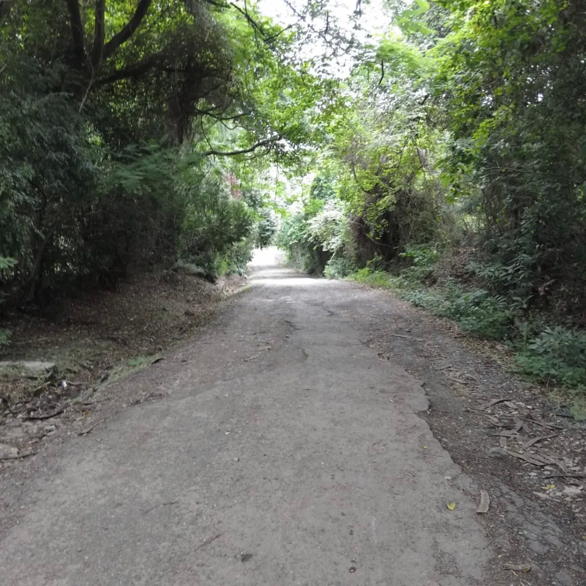 Terreno en Venta en Majagual Veracruz