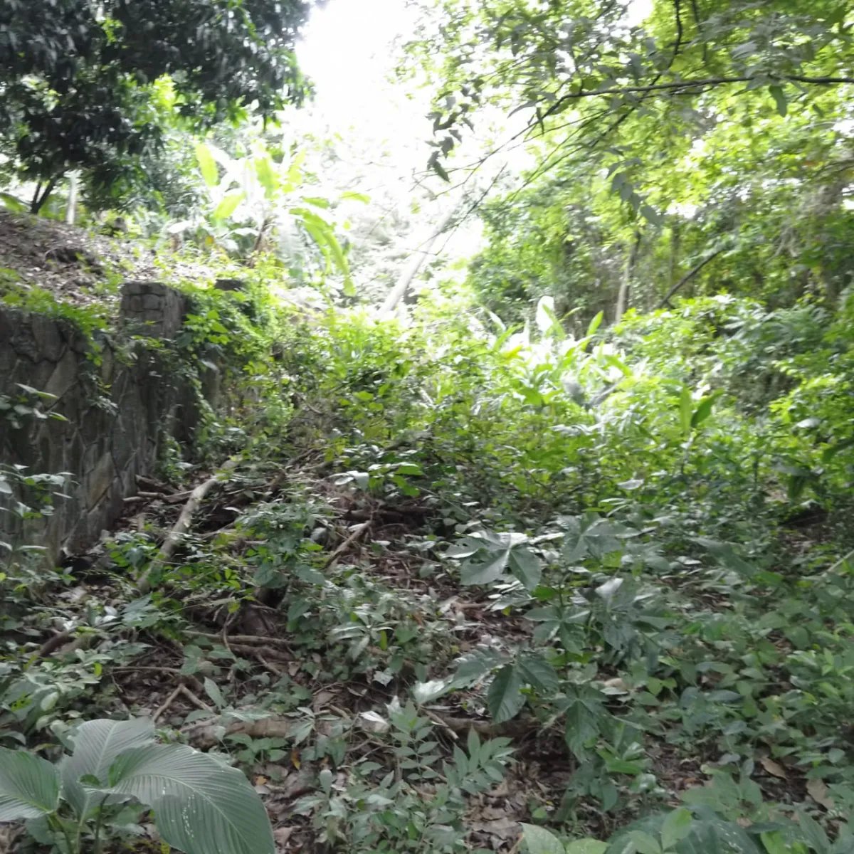 Terreno en Venta en Majagual Veracruz