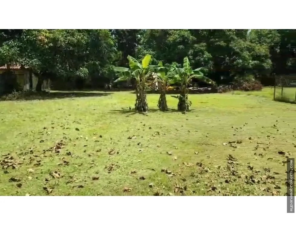 Se Vende Terreno en Nueva Gorgona, Coronado