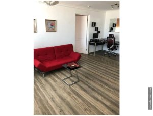 VENDO EN CARRASQUILLA PH GREEN POINT. 1REC/AMOBLADO