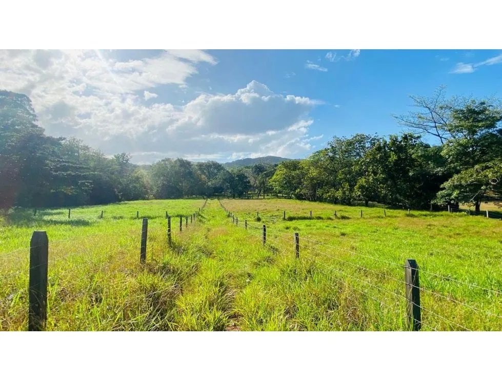 Land/Farm for sale in Panama