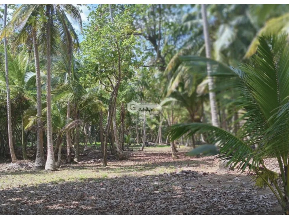 Building Lot for sale in Santa Isabel