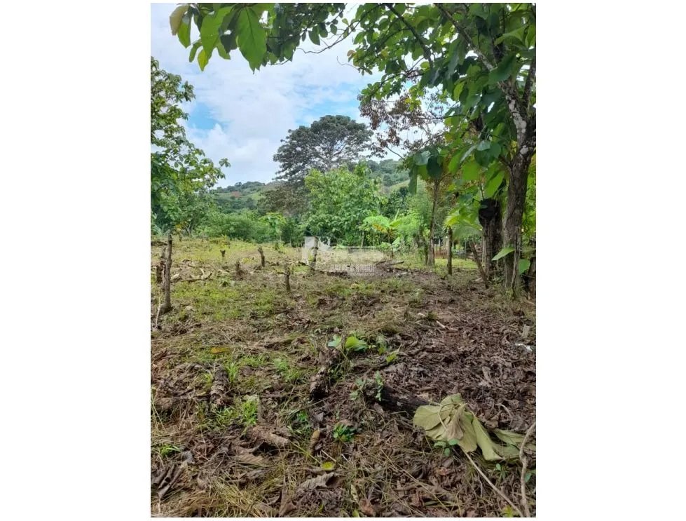 TERRENO / COLON / BUENA VISTA / 16570M / CON 2 CASAS / SOBRE VIA