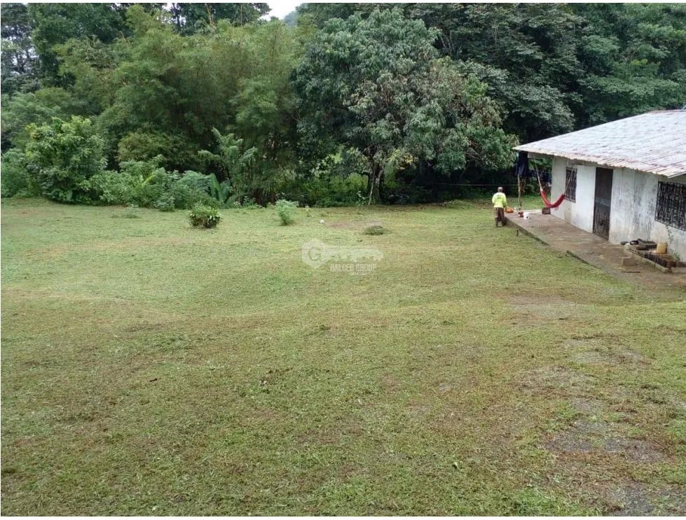 TERRENO / COLON / BUENA VISTA / 16570M / CON 2 CASAS / SOBRE VIA