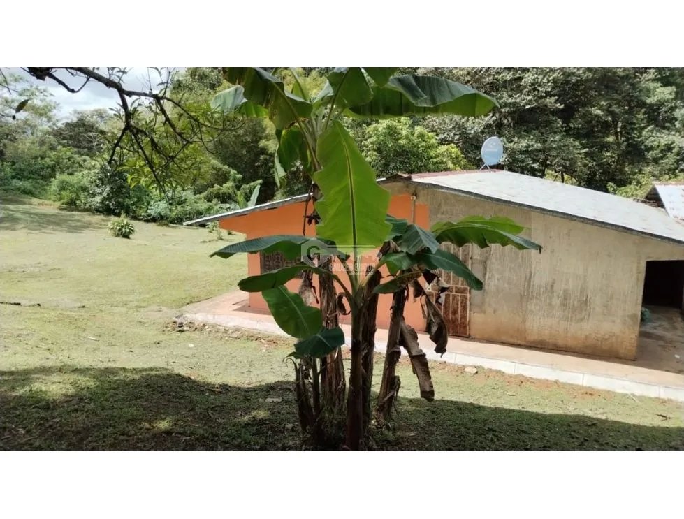 TERRENO / COLON / BUENA VISTA / 16570M / CON 2 CASAS / SOBRE VIA