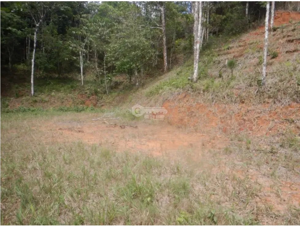 Building Lot for sale in Cerro Azul