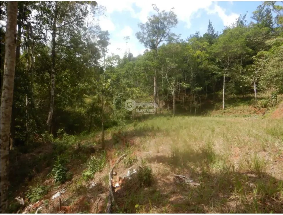 Building Lot for sale in Cerro Azul