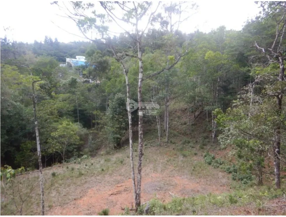 Building Lot for sale in Cerro Azul