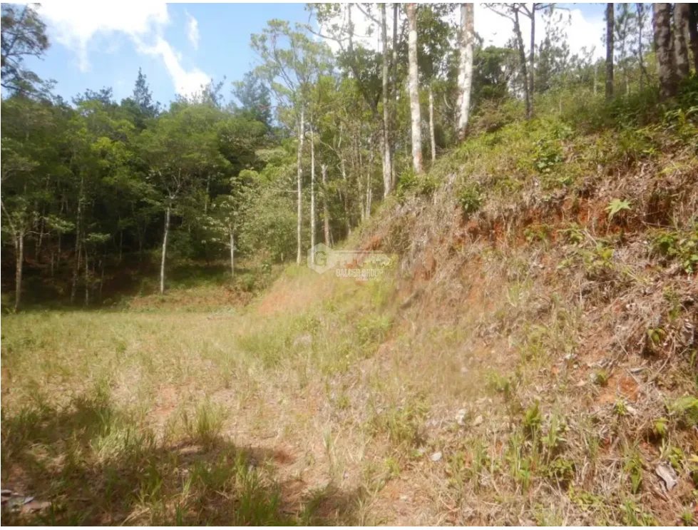 Building Lot for sale in Cerro Azul
