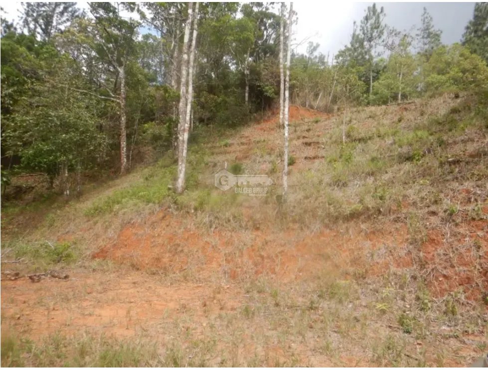Building Lot for sale in Cerro Azul