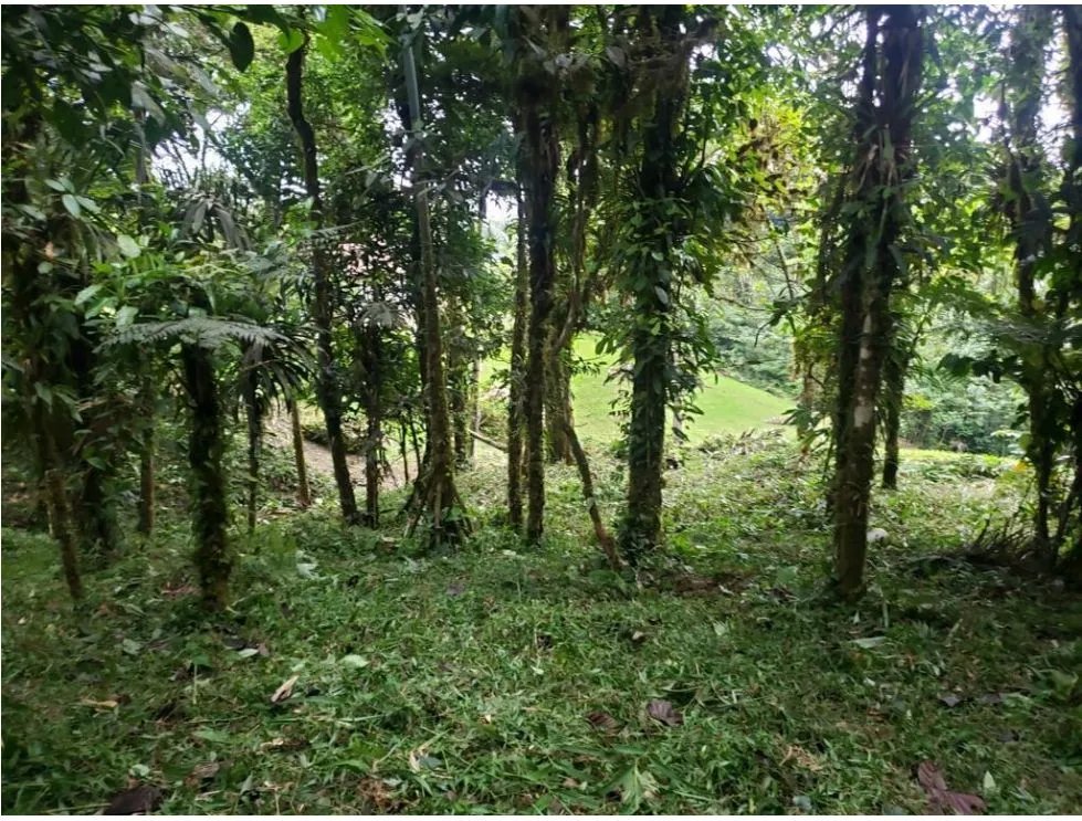 Building Lot for sale in Chame