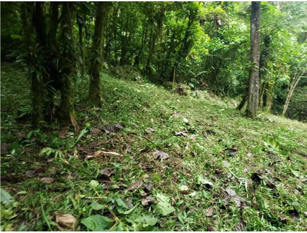 Building Lot for sale in Chame