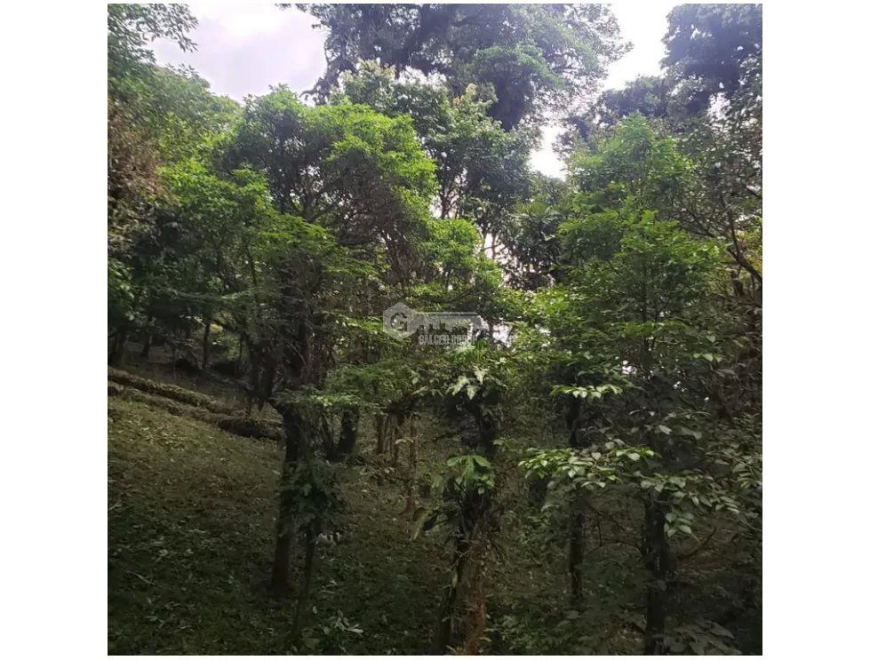 Building Lot for sale in Chame