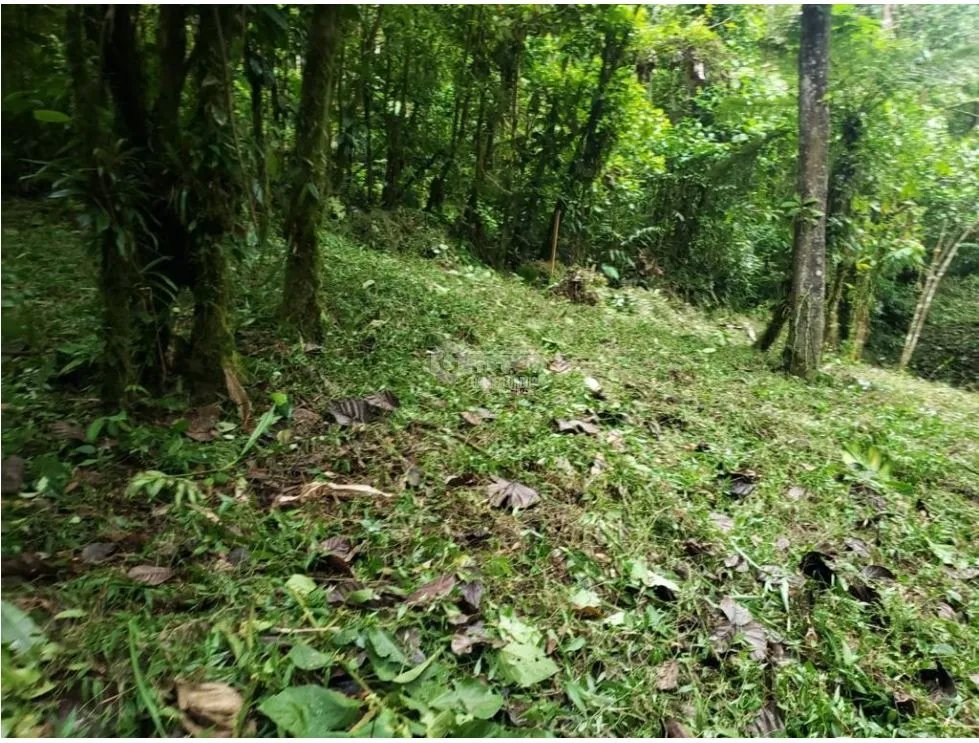 Building Lot for sale in Chame